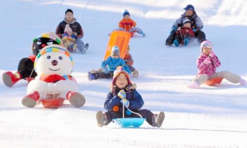 滑雪场管理系统